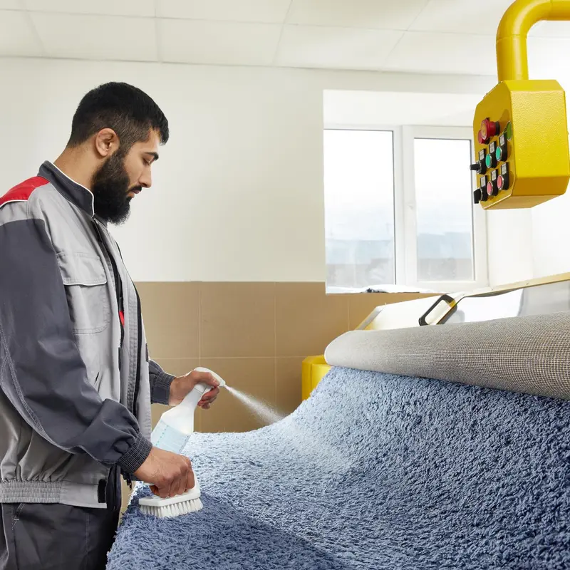 carpet options styles materials installation maintenance tips